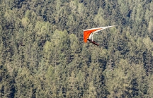 Hängegleiter, Drachenfliegen / Stubaital, Fulpmes, Tirol, Austria