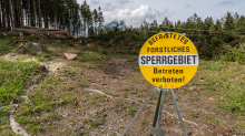 Waldrodung, forstliches Sperrgebiet / Patscherkofel, Innsbruck, Tirol, Austria