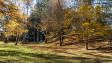 Herbst in Igls, Gsetzbichl, Innsbruck, Tirol, Austria