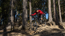 Mountainbiker, Downhiller /  Viller Kopf, Paschberg, Vill, Innsbruck, Tirol, Austria