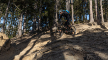 Mountainbiker, Downhiller /  Viller Kopf, Paschberg, Vill, Innsbruck, Tirol, Austria