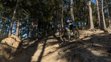 Mountainbiker, Downhiller /  Viller Kopf, Paschberg, Vill, Innsbruck, Tirol, Austria