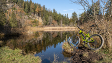 Seerosenweiher im Herbst, Lans, Tirol, Austria