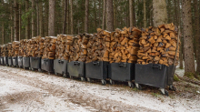 Brennholz im Wald