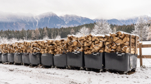 Brennholz im Wald