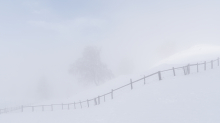 zugeschneiter Zaun im Nebel