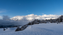 Winterlandschaft zwischen Patsch und Igls, Tirol, Austria