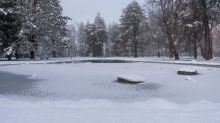 zugefrorener Teich im Kurpark Igls, Innsbruck, Tirol, Austria 