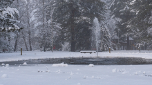 zugefrorener Teich im Kurpark Igls, Innsbruck, Tirol, Austria 