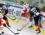 HC TWK Innsbruck-Die Haie - HCB Südtirol Alperia