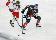 HC TWK Innsbruck-Die Haie - HCB Südtirol Alperia