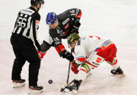 HC TWK Innsbruck-Die Haie - HCB Südtirol Alperia