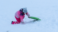 Kinder rodeln mit ihren Schneetellern