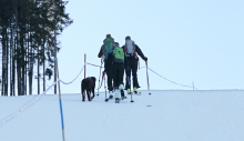 Skitourengeher auf Skipiste