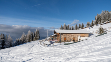 Patscher Alm, Patscherkofel, Patsch, Tirol, Austria