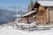 Patscher Alm, Patscherkofel, Patsch, Tirol, Austria