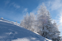 Patscherkofel, Tirol, Austria