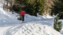 Skitourengeher am Vitalweg Patscherkofel, Tirol, Austria