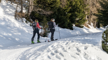 Skitourengeher am Vitalweg Patscherkofel, Tirol, Austria