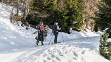 Skitourengeher am Vitalweg Patscherkofel, Tirol, Austria