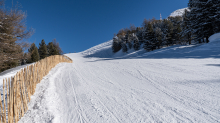 Olympiaabfahrt Patscherkofel, Tirol, Austria