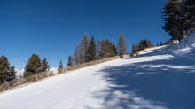 Olympiaabfahrt Patscherkofel, Tirol, Austria