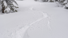 Tiefschneespur von Skifahrer durch den Wald / Patscherkofel, Tirol, Austria