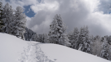 Skitourenspur / Patscherkofel, Tirol, Austria