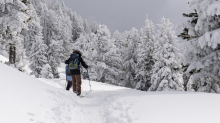 Freerider / Patscherkofel, Tirol, Austria