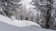 Skitourenspur / Patscherkofel, Tirol, Austria