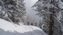 Skitourenspur / Patscherkofel, Tirol, Austria