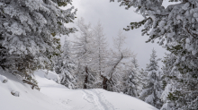 Skitourenspur / Patscherkofel, Tirol, Austria