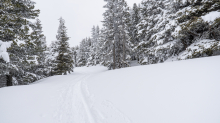 Skitourenspur / Patscherkofel, Tirol, Austria