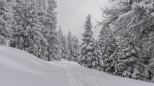 Skitourenspur / Patscherkofel, Tirol, Austria