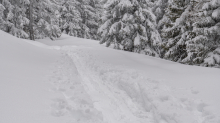 Skitourenspur / Patscherkofel, Tirol, Austria