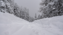 Skitourenspur / Patscherkofel, Tirol, Austria