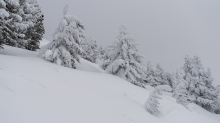 Winterlandschaft / Patscherkofel, Tirol, Österreich