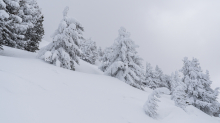 Winterlandschaft / Patscherkofel, Tirol, Österreich