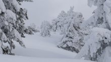 Winterlandschaft / Patscherkofel, Tirol, Österreich