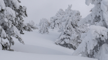 Winterlandschaft / Patscherkofel, Tirol, Österreich