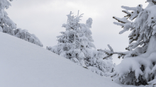 Winterlandschaft / Patscherkofel, Tirol, Österreich