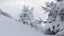 Winterlandschaft / Patscherkofel, Tirol, Österreich