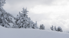 Winterlandschaft / Patscherkofel, Tirol, Österreich