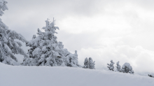 Winterlandschaft / Patscherkofel, Tirol, Österreich