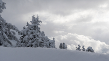 Winterlandschaft / Patscherkofel, Tirol, Österreich