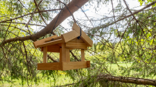 Vogelhaus aus Holz