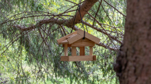 Vogelhaus aus Holz