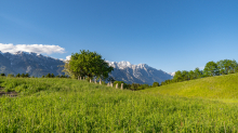 Aldrans, Tirol, Österreich