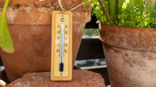 Thermometer, Flüssigkeitsthermometer