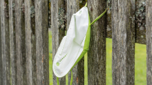 FFP2-Maske hängt am Gartenzaun